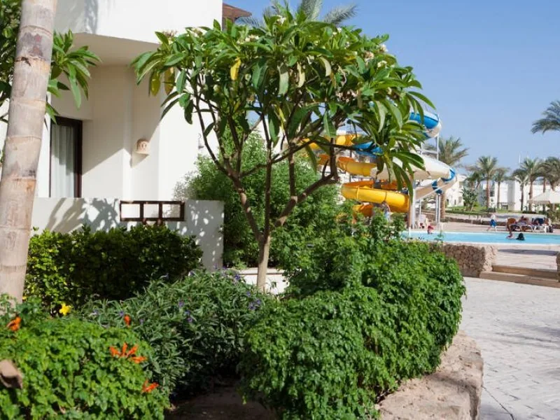 Sharm Resort – galerija 2