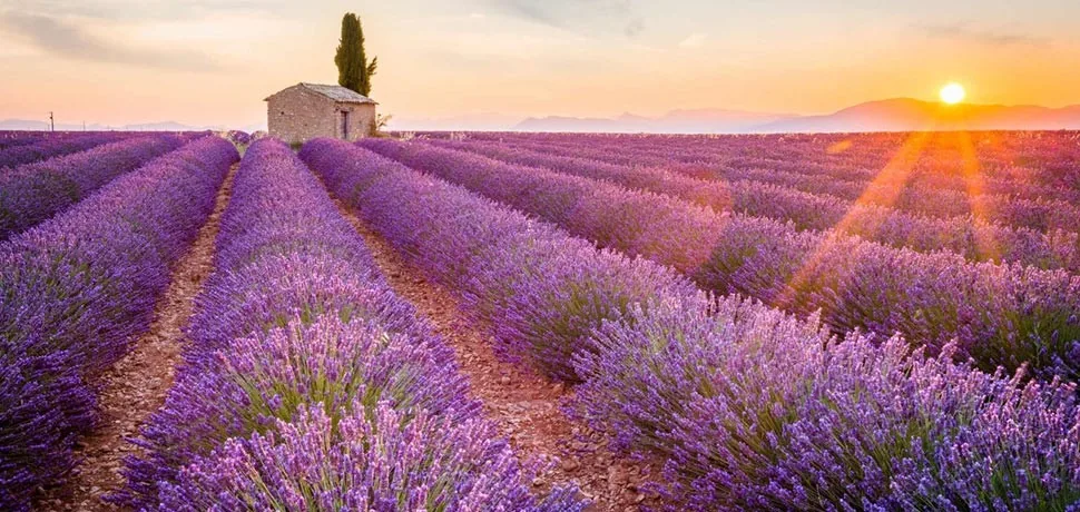 Provansa i Azurna obala - 5 dana, Deluxe