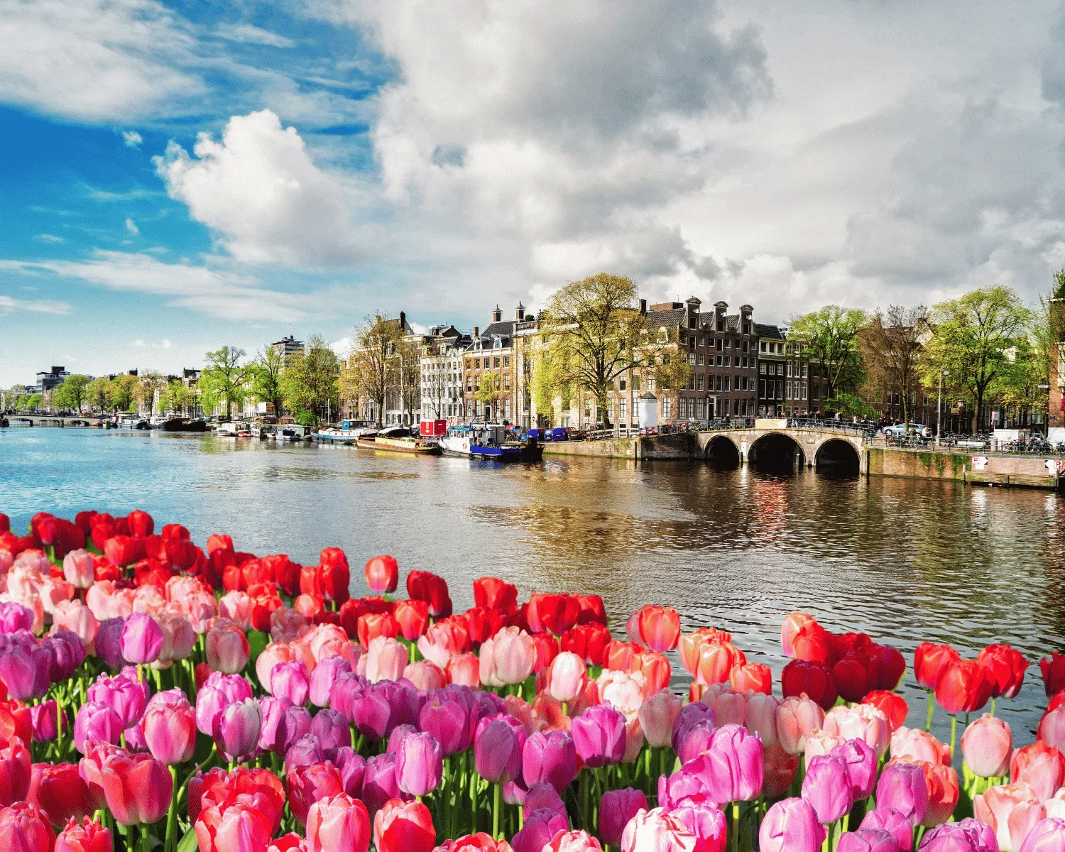 Amsterdam – galerija 1