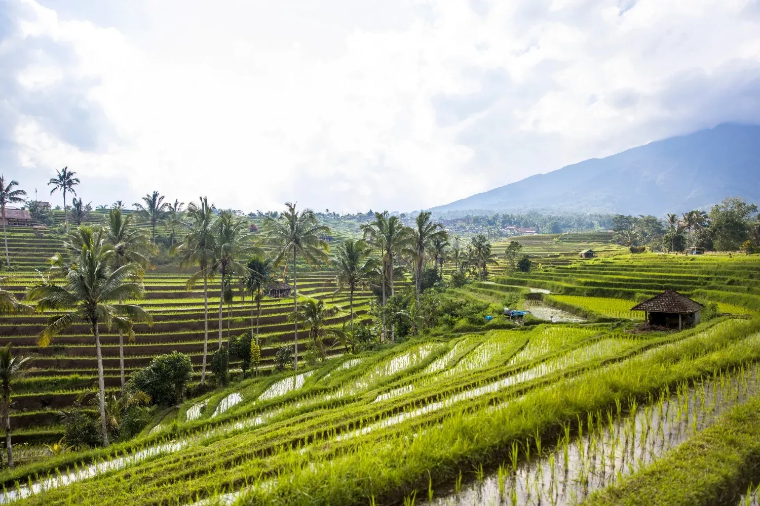 Bali Uskrs – galerija 1