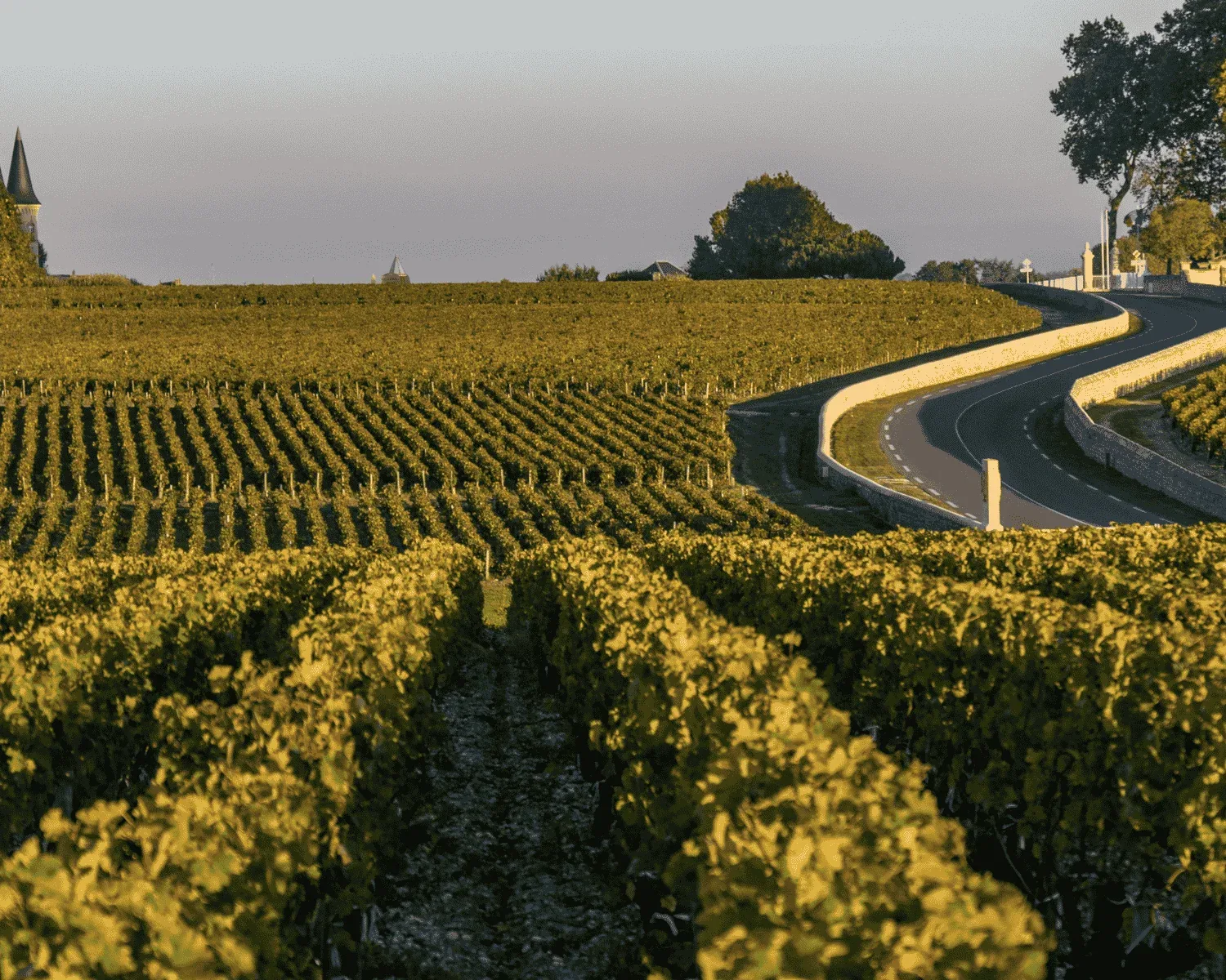 Bordeaux – galerija 1