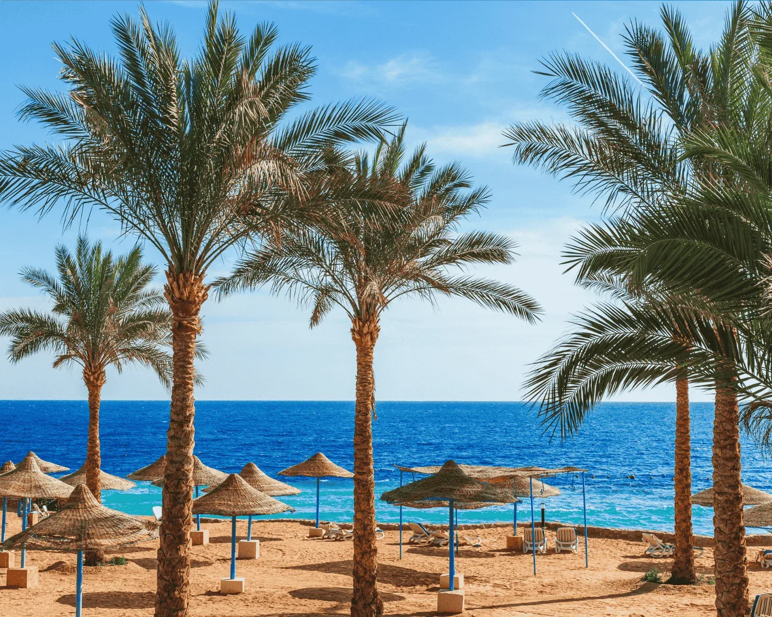 Egipat-Sharm El Sheikh – galerija 1