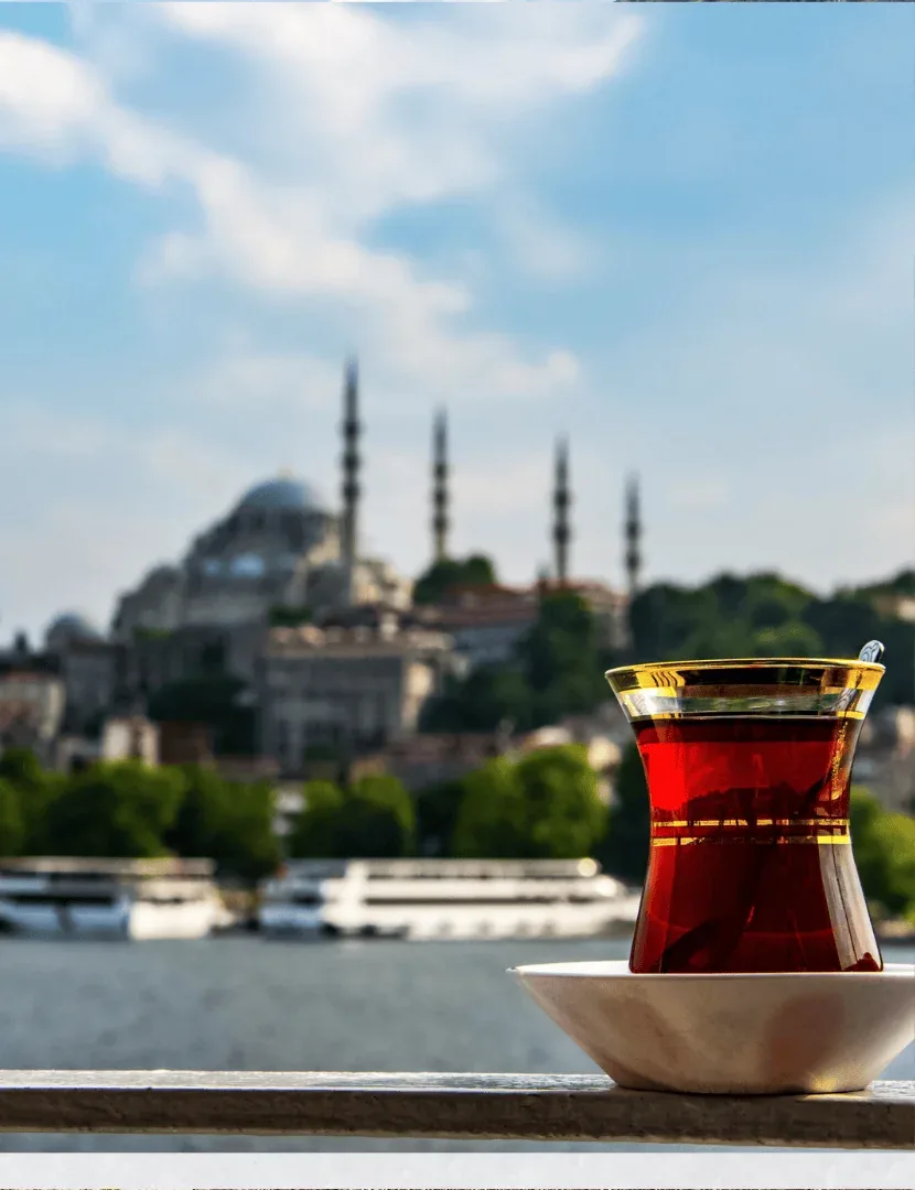 Istanbul -grad na dva kontinenta