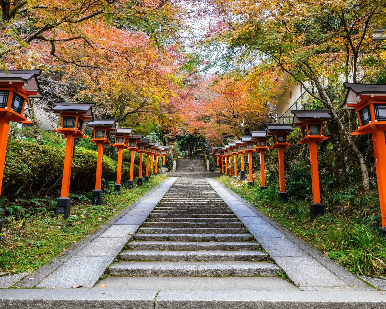 Japan na Turkish Airlinesu – galerija 1