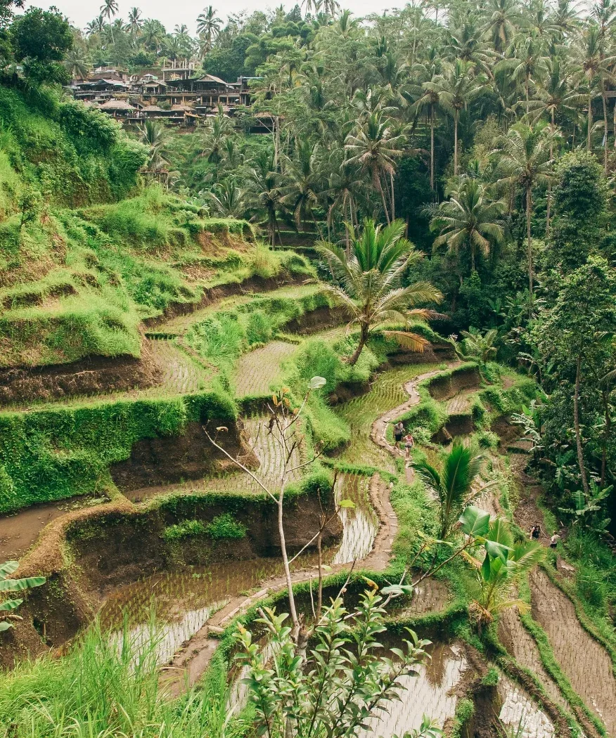 KL, Bali & Singapur Nova godina 2