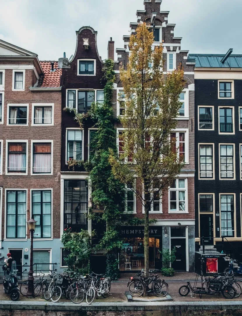 Nizozemska i Belgija