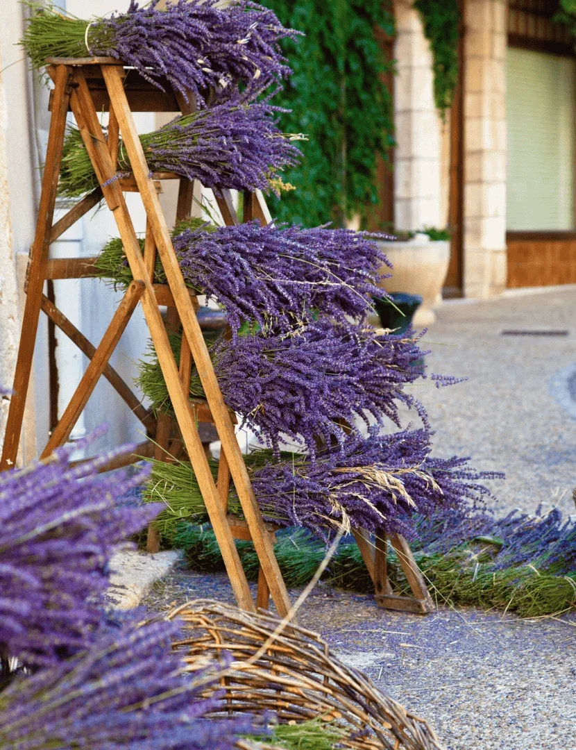 Provansa i najljepša sela Francuske
