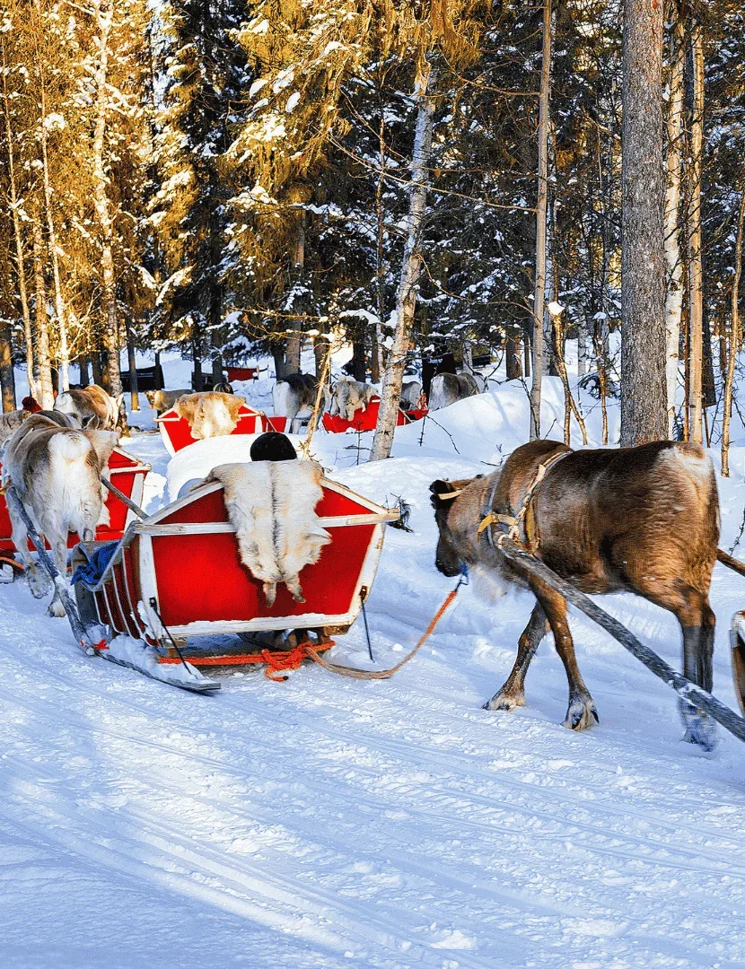 Rovaniemi - Djed Božićnjak u Laponiji
