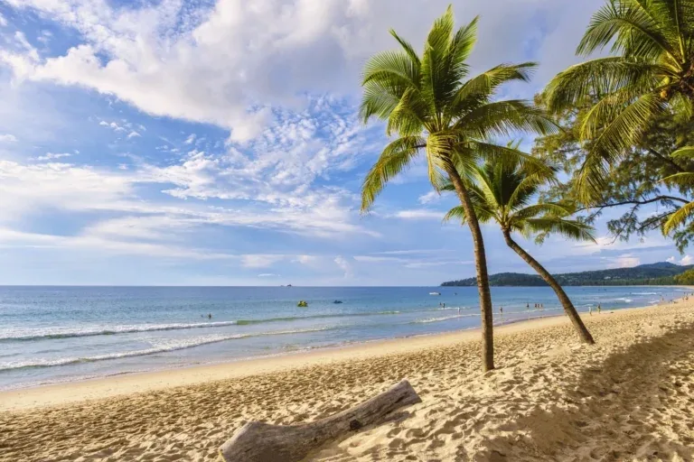 Tajland Gurmanska – galerija 2