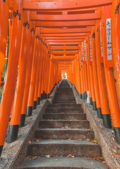 Kina - Velika Tura – galerija 2