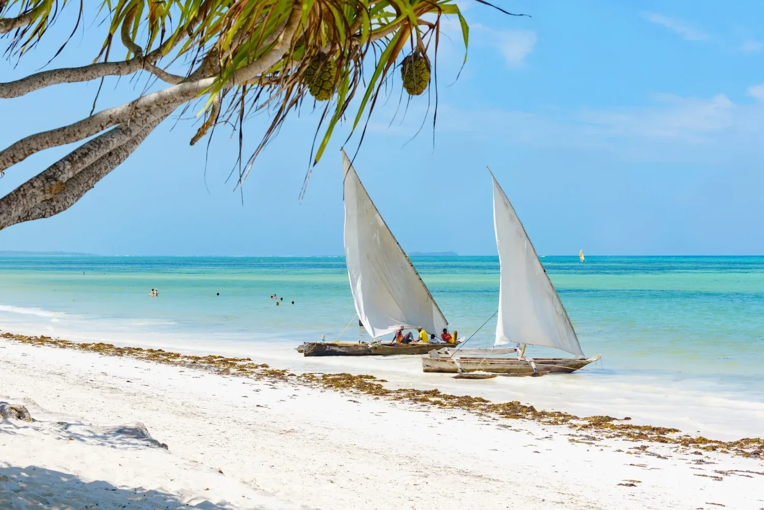 Zanzibar – galerija 1