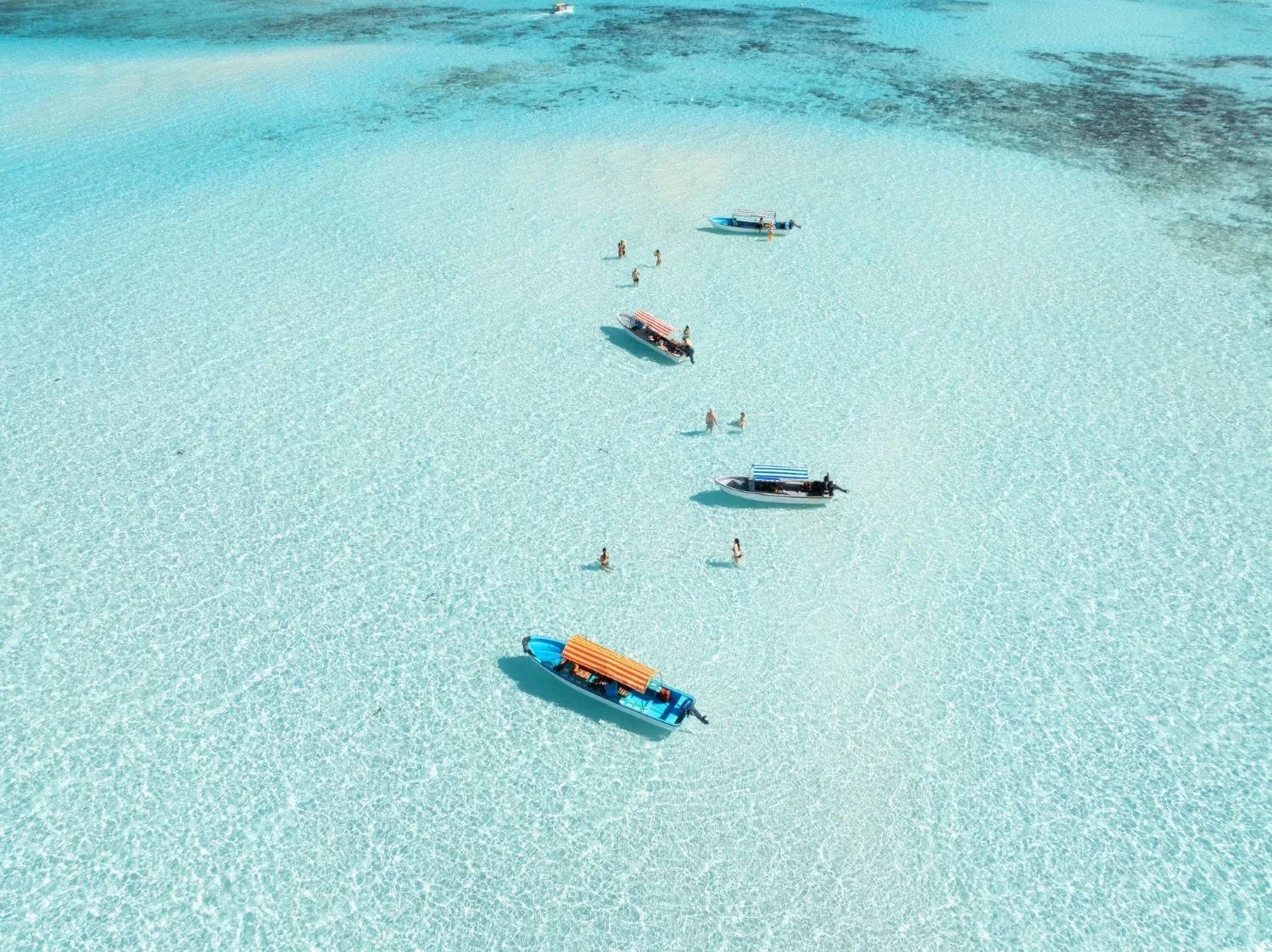 Zanzibar & Safari – galerija 1