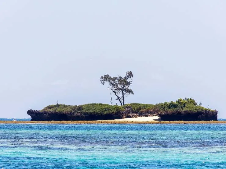 Kenija - Diani Beach i safari – galerija 1