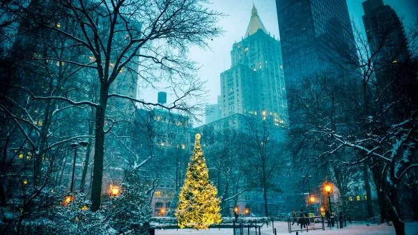 Nova godina New York i Washington