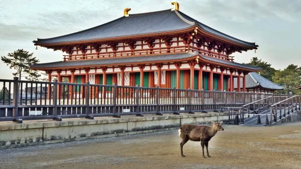 Japan - velika tura