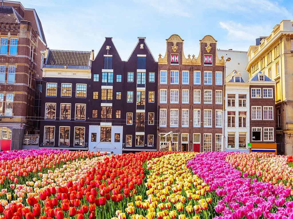 Amsterdam i cvjetna polja Keukenhof 2027.