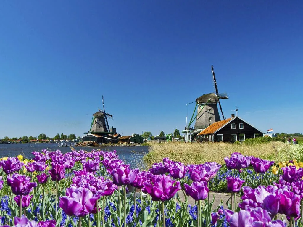 Amsterdam 4 dana avionom 2026