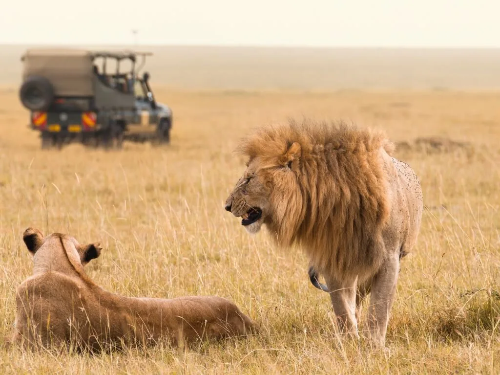 Kenija Velika tura - zimski termini 2027. – galerija 1