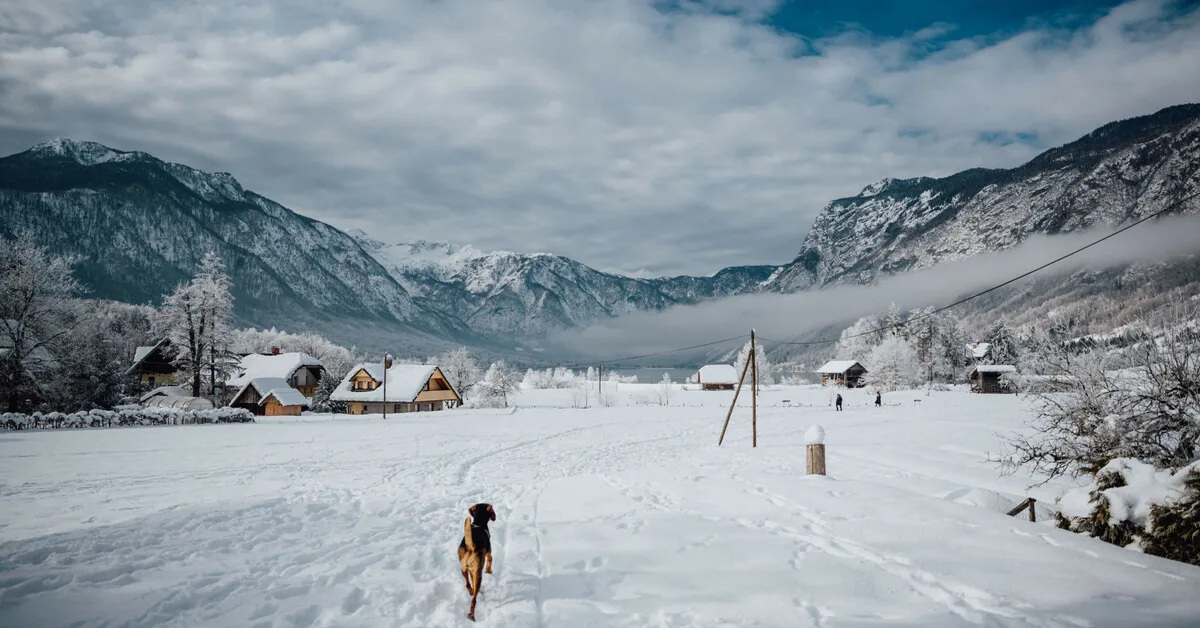 Bohinj, Hotel Bohinj 4*