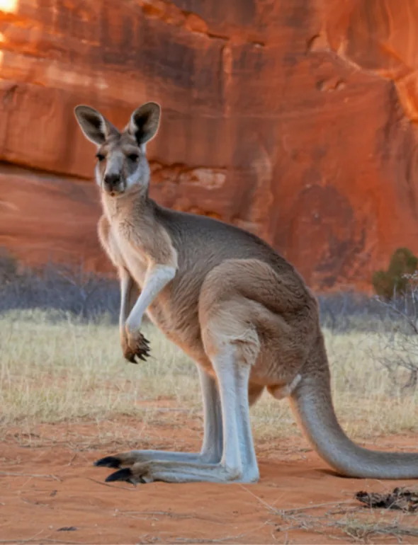 Maroko – galerija 1