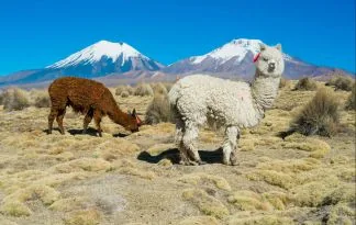 Peru, doživeta Bolivija in Čile