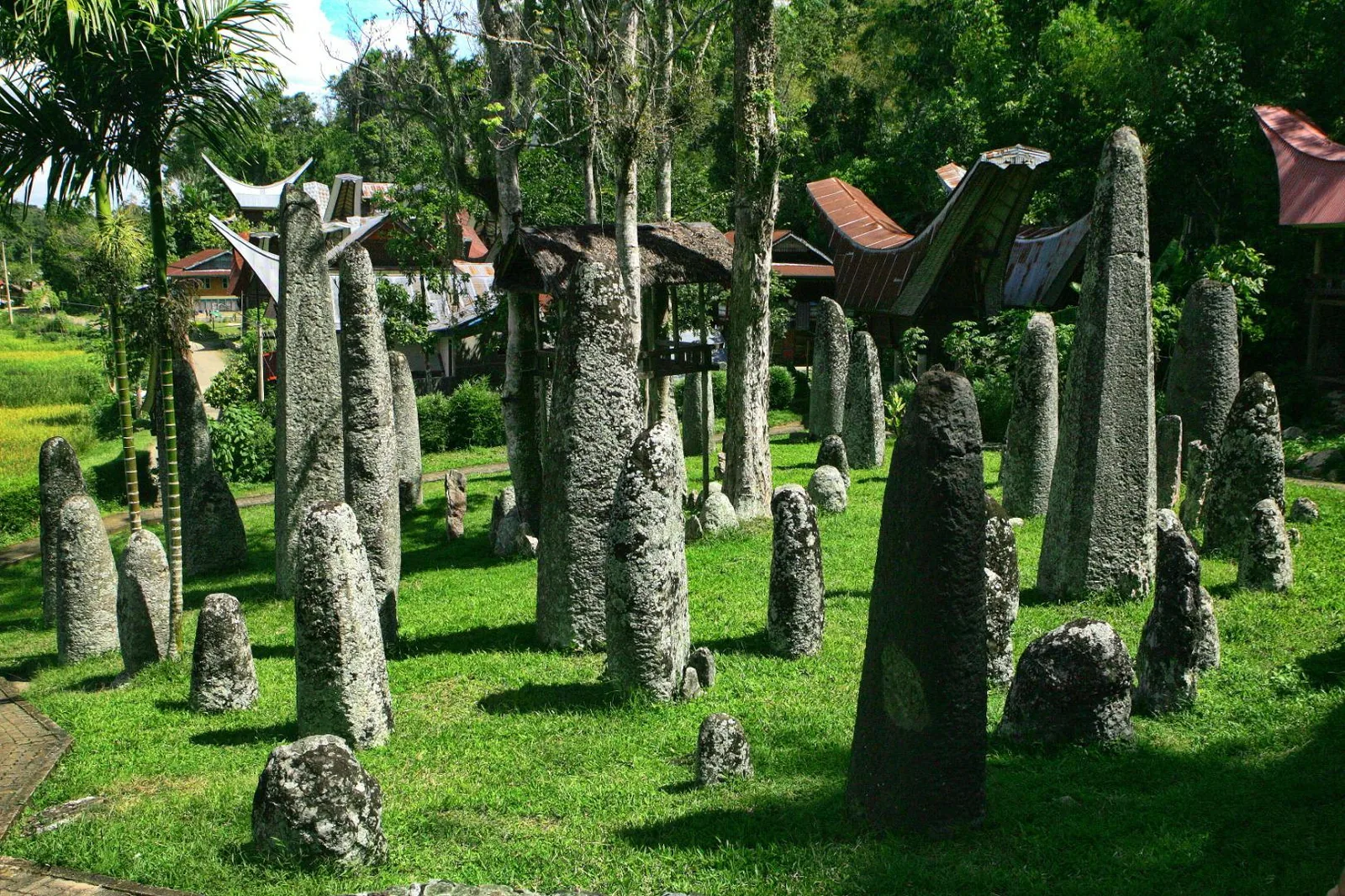 Indonezija - Sulawesi - Otok moči in čutenja – galerija 1