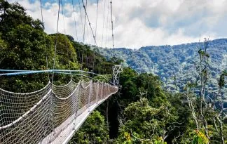 Uganda in Ruanda - v kraljestvu gorskih goril