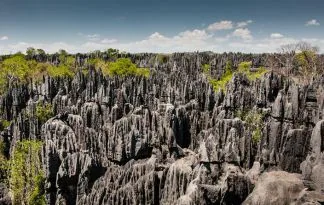 Doživeti Madagaskar in tropski Mavricij