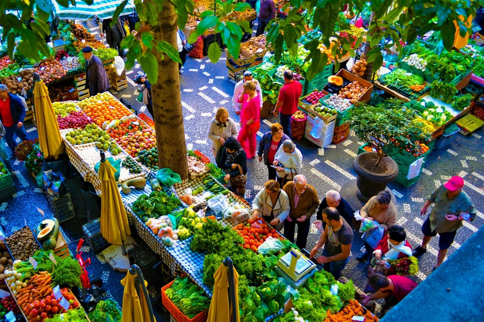 Madeira s počitnicami na Porto Santu – galerija 2