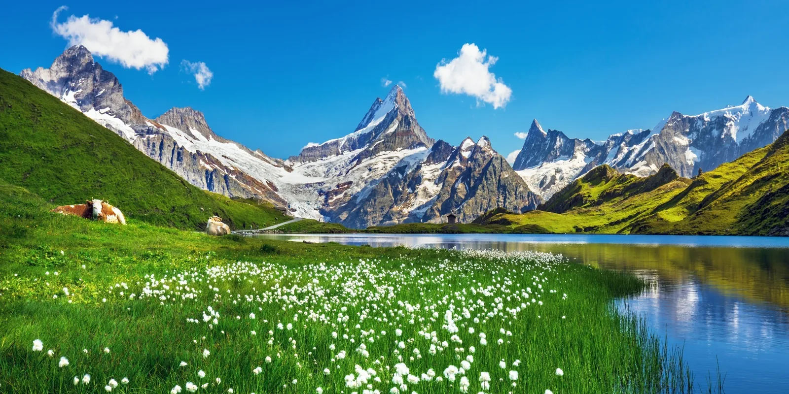 Alpska Švica z Bernina express – galerija 1