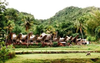 Oskarjeva Indonezija - Sulawesi, Bali in Flores