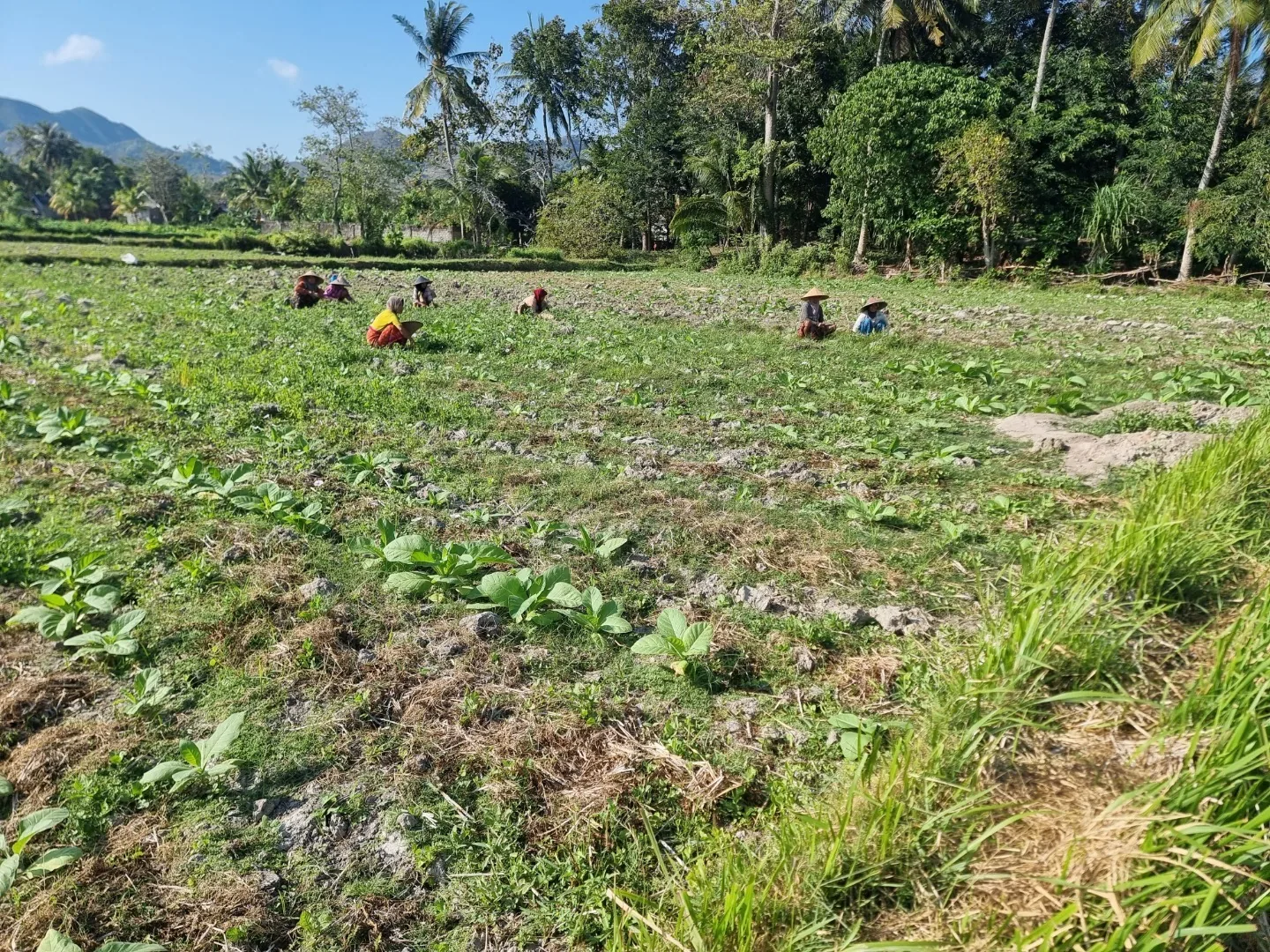 Indonezija – A(tra)ktivni Lombok 12 dni – galerija 2