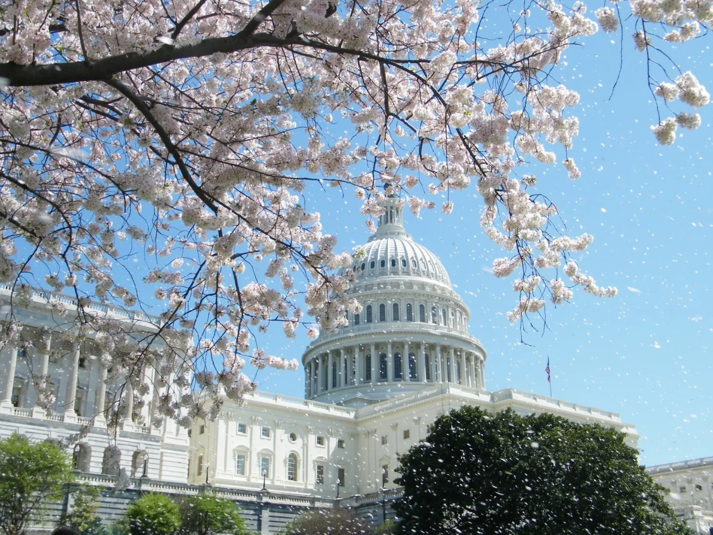 Severovzhod ZDA z Niagarskimi slapovi in Washingtonom – galerija 1
