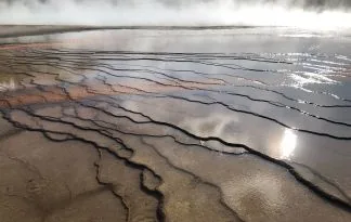 Yellowstone in Divji Zahod