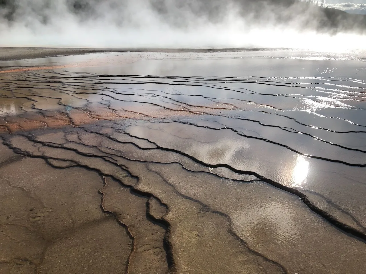 Yellowstone in Divji Zahod – galerija 1