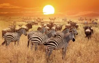 Tanzanija za družine - afriška dogodivščina z morjem