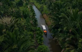 Indonezija – Divja Sumatra in prvinski Siberut