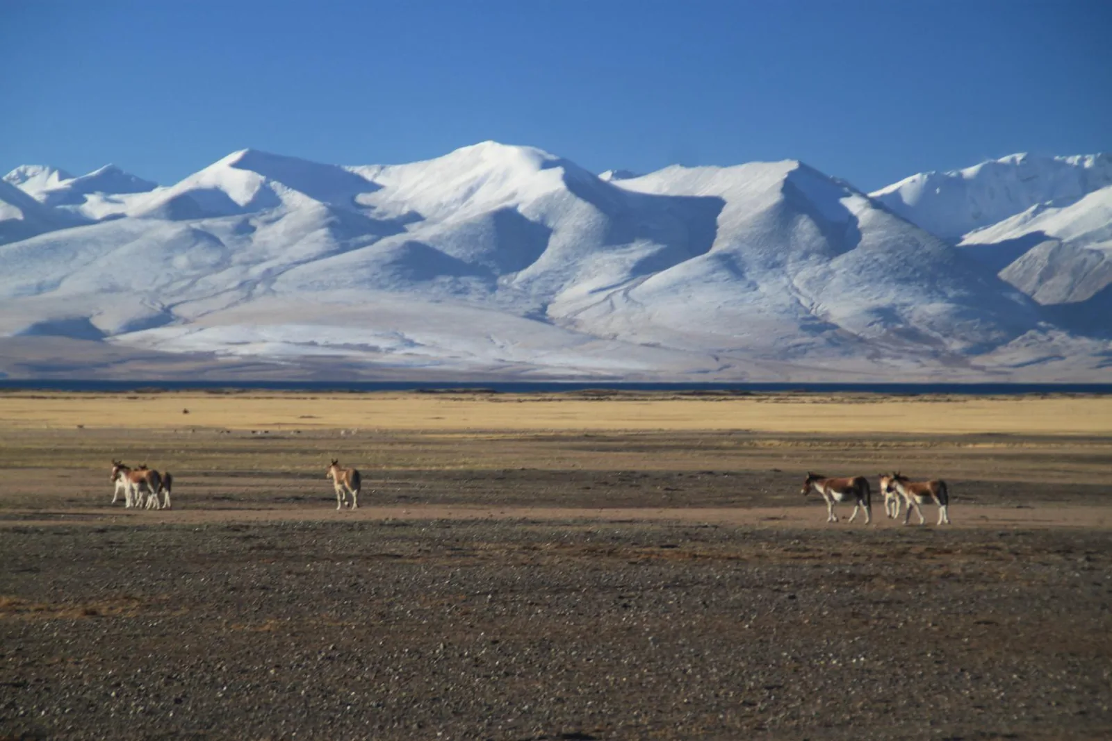 Tibet - V iskanju Šambale – galerija 2