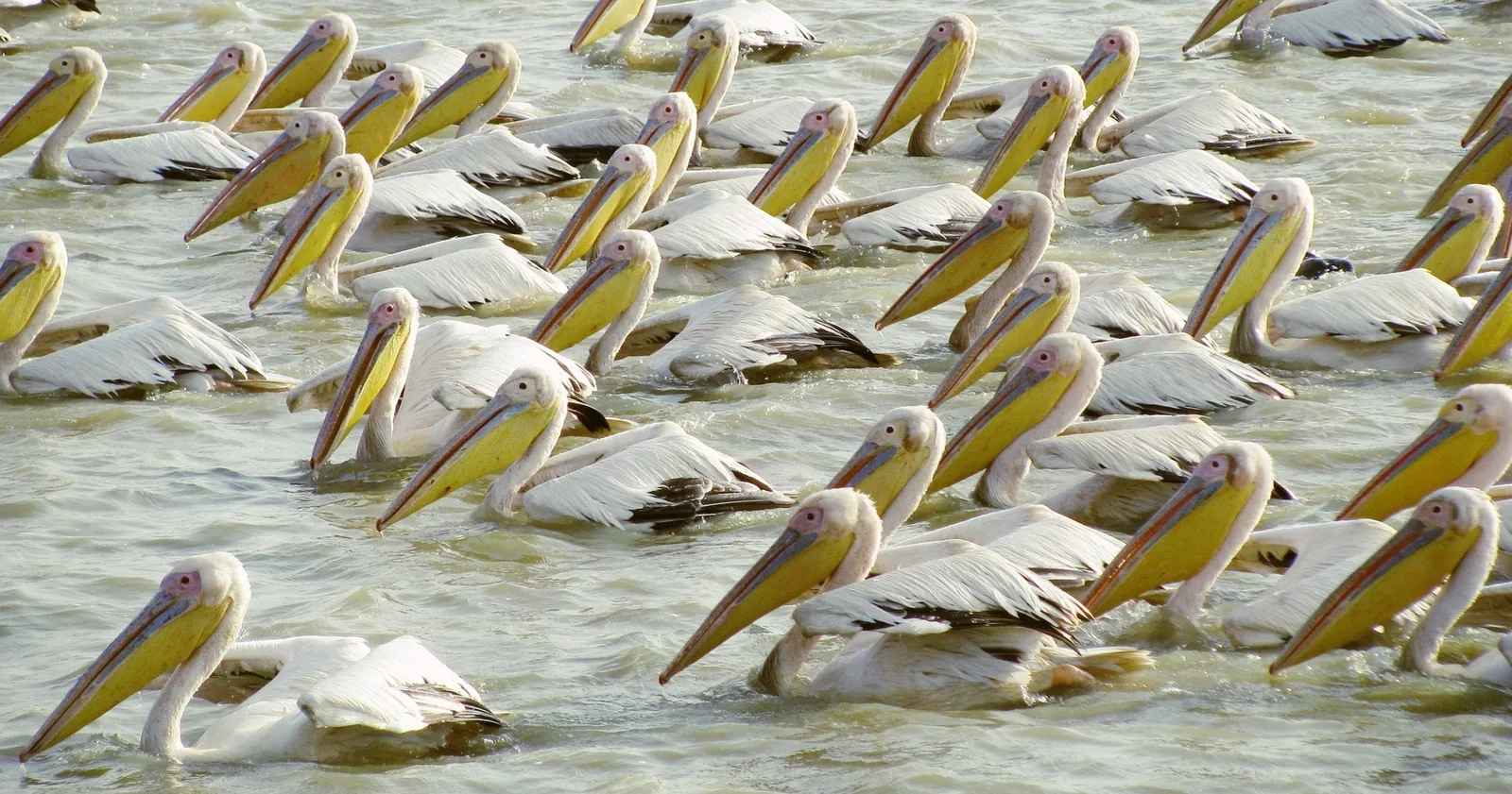 Doživeti Senegal – galerija 2