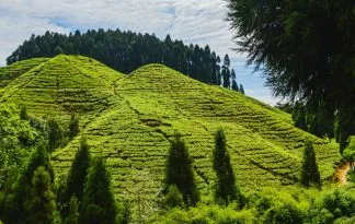 Sikkim in Butan - Mistična kraljevina in zelene doline