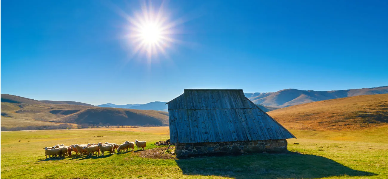 Zlatibor, Tara in Šarganska osmica, 4 dni – galerija 1