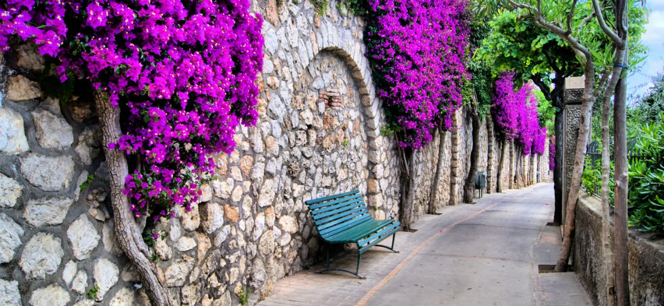 Neapelj, Capri, Pompeji in Amalfijska obala z letalom, 4 dni – galerija 2