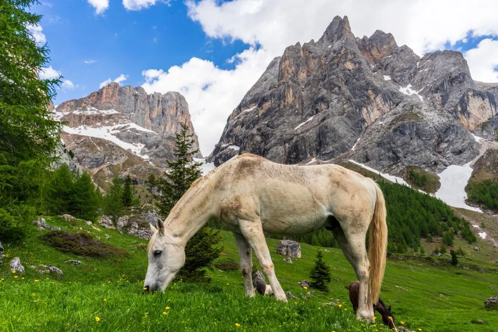 Marmolada - kraljica Dolomitov – galerija 2
