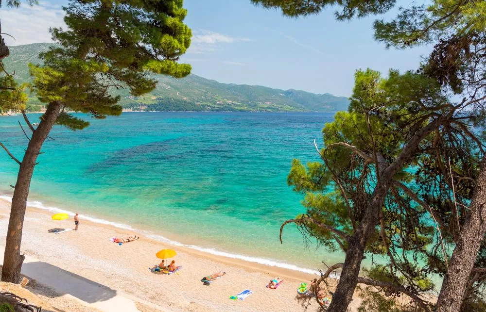 Praznik oljke na Korčuli in mandarine, 3 dni – galerija 2