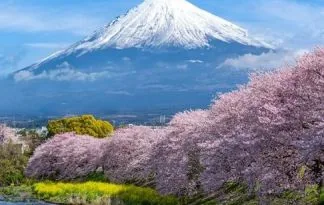 Japonska - preplet tradicije in sodobnosti, 12 dni