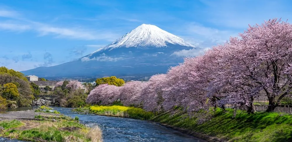 Japonska - preplet tradicije in sodobnosti, 12 dni – galerija 1