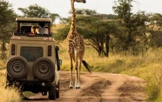 Tanzanija- safari spektakel in rajski Zanzibar