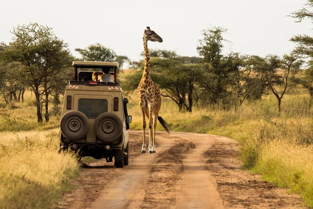 Tanzanija- safari spektakel in rajski Zanzibar – galerija 1