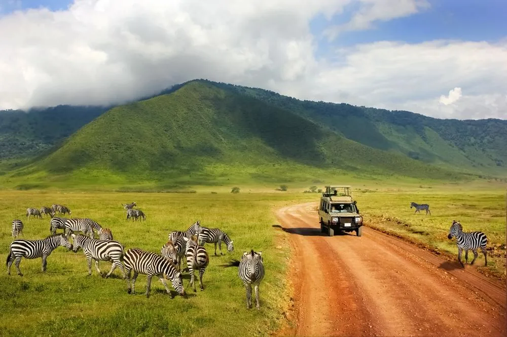 Tanzanija- safari spektakel in rajski Zanzibar – galerija 2