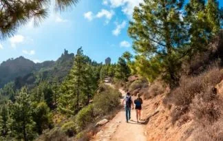 Gran Canaria – med palmami in gorami, 8 dni, direktni polet